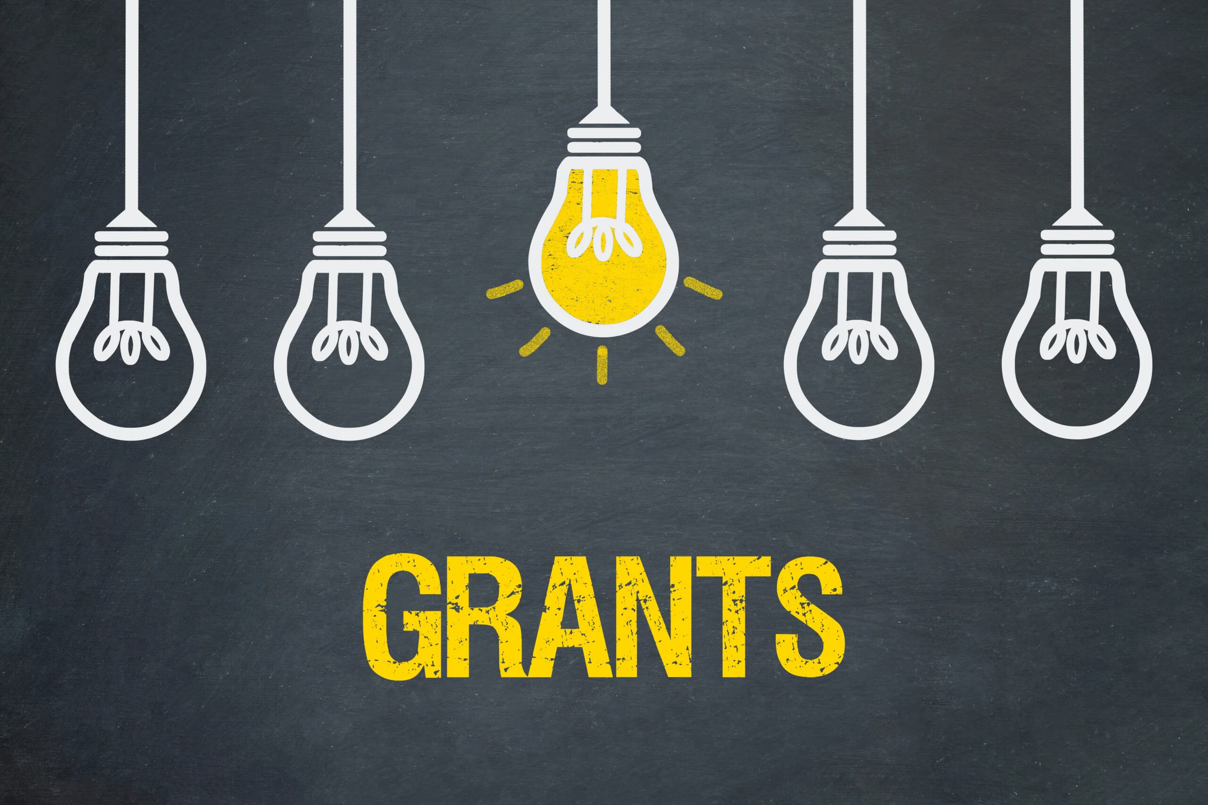 Grants Available to Support Community and Business Projects in Ipswich & West Moreton